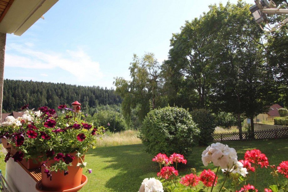 11 Wohnung Altensteig